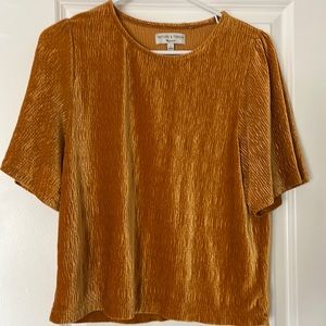 Texture & Thread Madewell crinkle velvet flutter sleeve top size: small